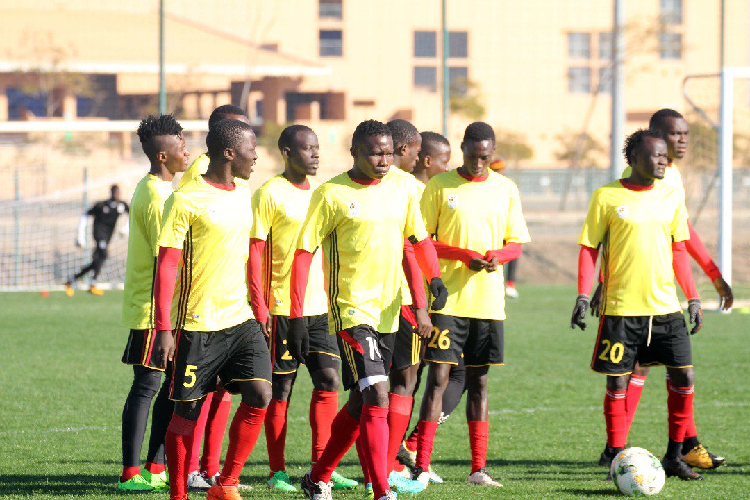 Cranes training